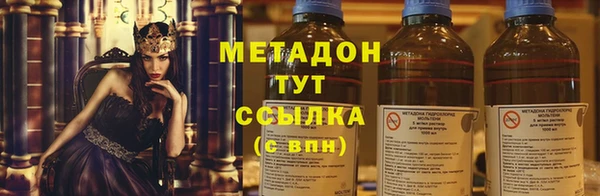 индика Нея
