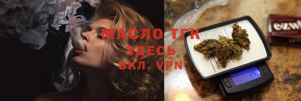 индика Нея