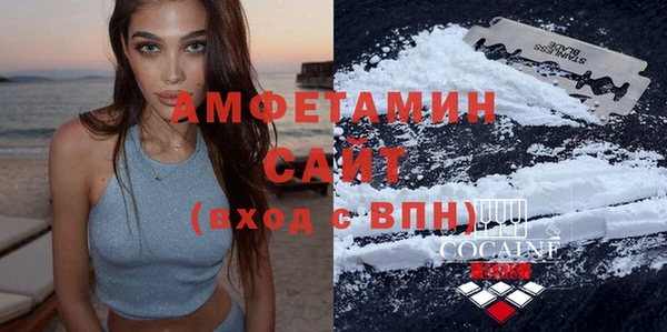 индика Нея
