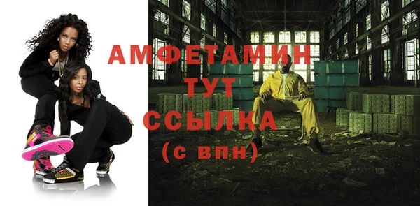 индика Нея