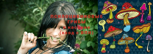 apvp Нефтегорск
