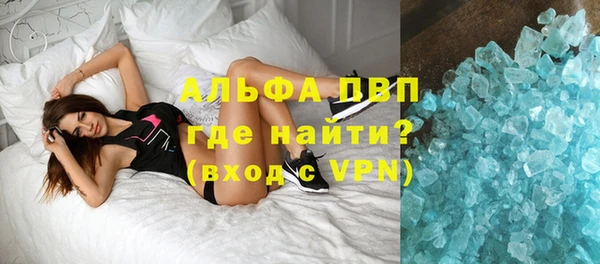 индика Нея