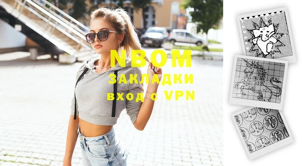 индика Нея