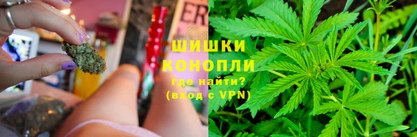 индика Нея