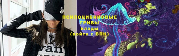индика Нея