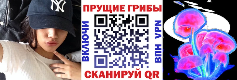 Галлюциногенные грибы GOLDEN TEACHER  где купить   Махачкала 