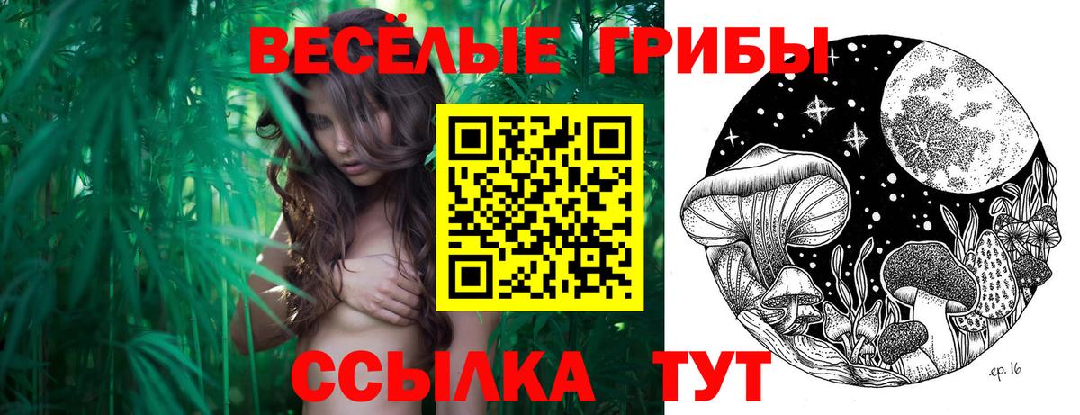 Галлюциногенные грибы мухоморы  Махачкала 