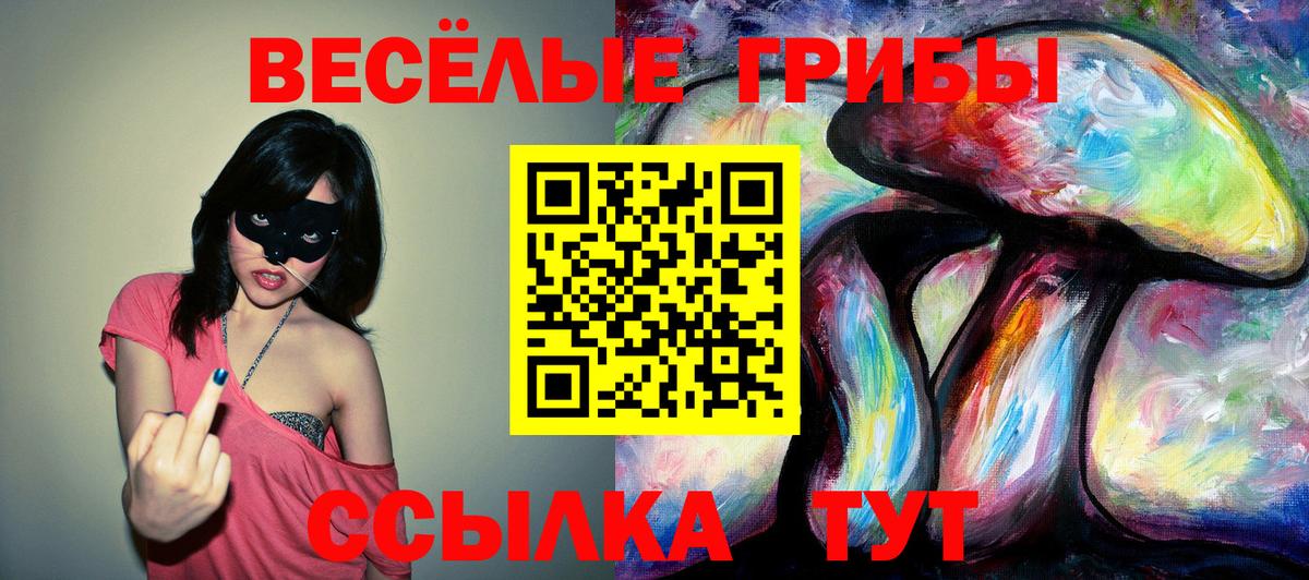 Псилоцибиновые грибы Magic Shrooms Махачкала