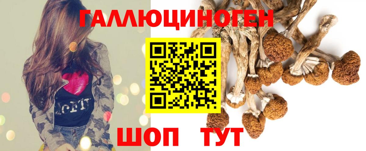 Галлюциногенные грибы GOLDEN TEACHER  Вход с VPN  Махачкала 